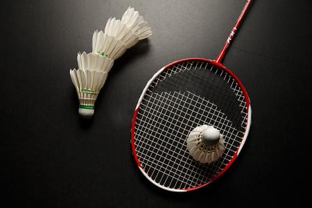 国米门神的 国米门神的