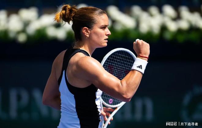 迪亚尼的高 迪亚尼的高